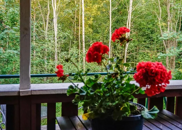 Merimetso 6 By Interhome * Strandby